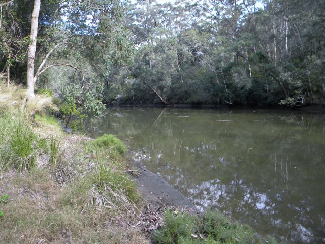 Marramarra Creek, near Biddy and John Lewis' allotment